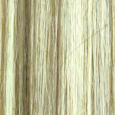 P4-613 - DUO Caramel / Light Blond